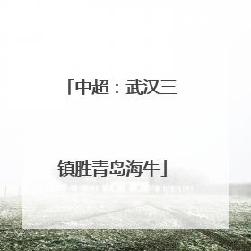 中超：武汉三镇胜青岛海牛
