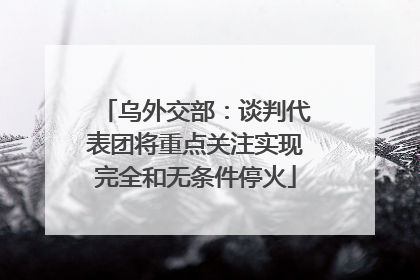 乌外交部：谈判代表团将重点关注实现完全和无条件停火