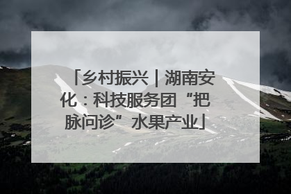 乡村振兴｜湖南安化：科技服务团“把脉问诊”水果产业