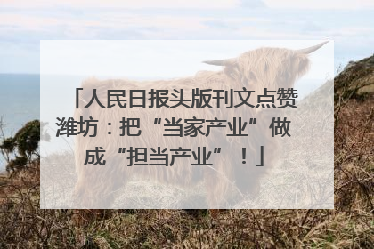 人民日报头版刊文点赞潍坊：把“当家产业”做成“担当产业”！