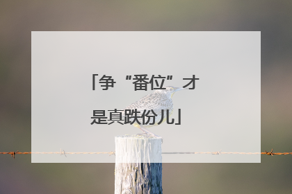 争“番位”才是真跌份儿