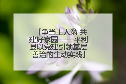 争当主人翁 共建好家园——平利县以党建引领基层善治的生动实践