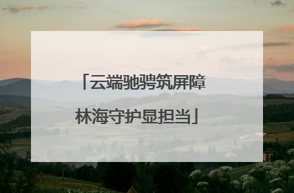 云端驰骋筑屏障 林海守护显担当