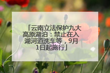 云南立法保护九大高原湖泊：禁止在入湖河道洗车等，9月1日起施行