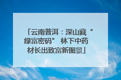 云南普洱：深山藏“绿富密码” 林下中药材长出致富新图景