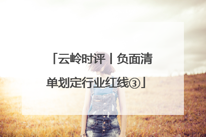 云岭时评丨负面清单划定行业红线③