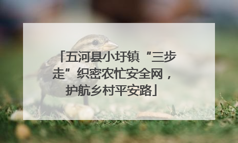 五河县小圩镇“三步走”织密农忙安全网，护航乡村平安路
