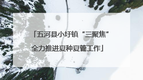 五河县小圩镇“三聚焦”全力推进夏种夏管工作