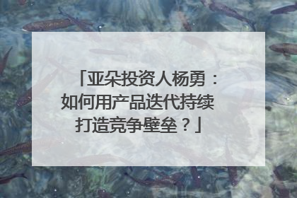 亚朵投资人杨勇：如何用产品迭代持续打造竞争壁垒？