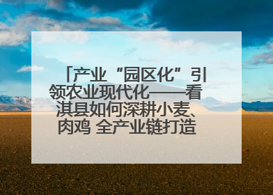 产业“园区化”引领农业现代化——看淇县如何深耕小麦、肉鸡 全产业链打造现代农业产业园
