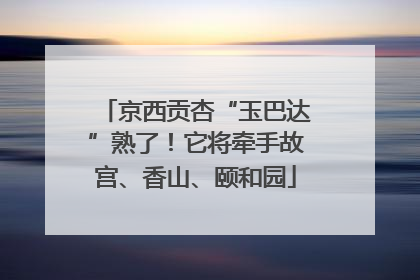 京西贡杏“玉巴达”熟了！它将牵手故宫、香山、颐和园