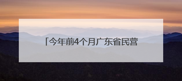今年前4个月广东省民营企业进出口增长5.6%