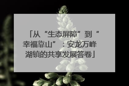 从“生态屏障”到“幸福靠山”：安龙万峰湖镇的共享发展答卷