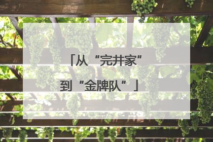 从“完井家”到“金牌队”
