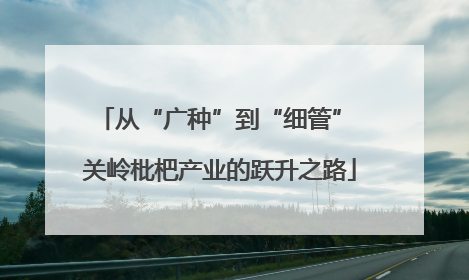 从“广种”到“细管” 关岭枇杷产业的跃升之路