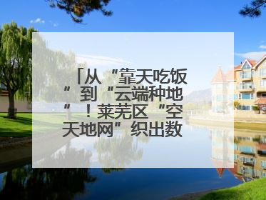 从“靠天吃饭”到“云端种地”！莱芜区“空天地网”织出数字农业新图景