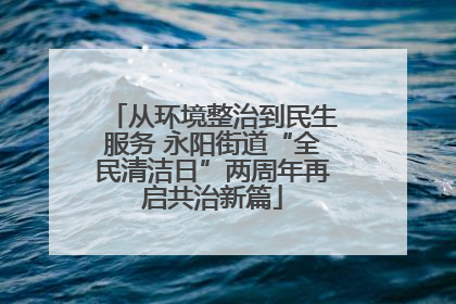 从环境整治到民生服务 永阳街道“全民清洁日”两周年再启共治新篇