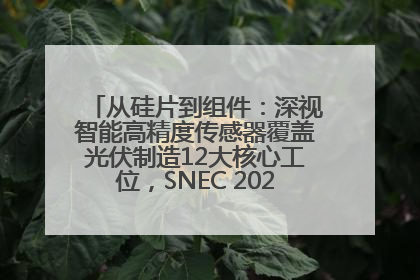 从硅片到组件：深视智能高精度传感器覆盖光伏制造12大核心工位，SNEC 2025诚邀见证