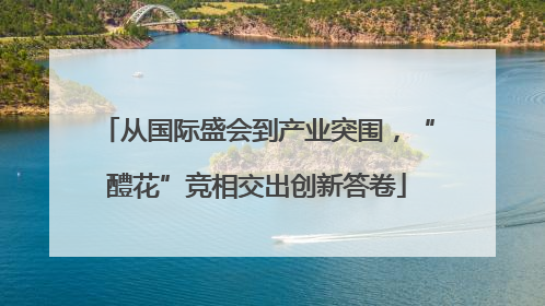 从国际盛会到产业突围，“醴花”竞相交出创新答卷