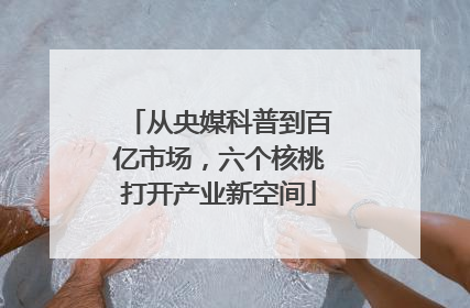 从央媒科普到百亿市场，六个核桃打开产业新空间