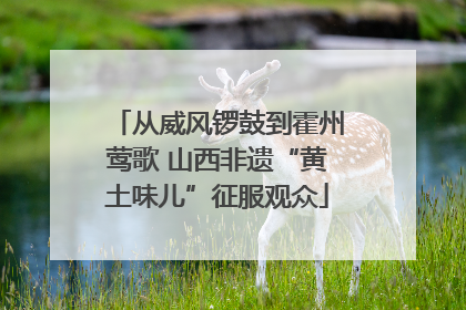 从威风锣鼓到霍州莺歌 山西非遗“黄土味儿”征服观众