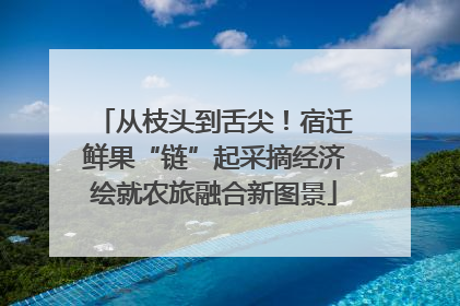 从枝头到舌尖！宿迁鲜果“链”起采摘经济绘就农旅融合新图景