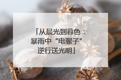 从晨光到暮色：暴雨中“电骡子”逆行送光明