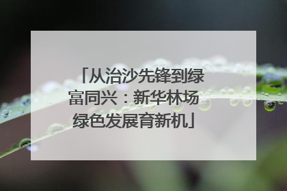 从治沙先锋到绿富同兴：新华林场绿色发展育新机