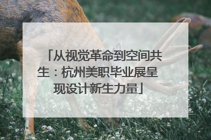 从视觉革命到空间共生：杭州美职毕业展呈现设计新生力量