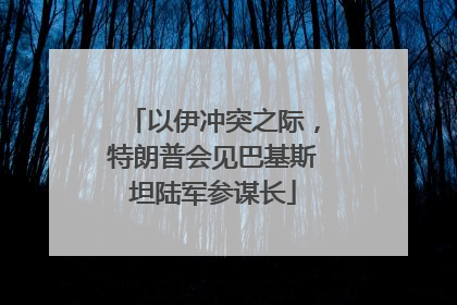 以伊冲突之际，特朗普会见巴基斯坦陆军参谋长