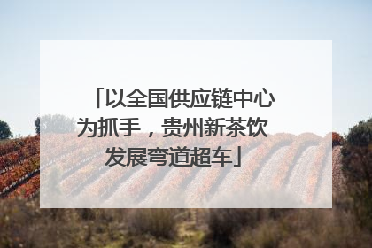 以全国供应链中心为抓手，贵州新茶饮发展弯道超车