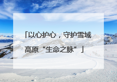 以心护心，守护雪域高原“生命之脉”