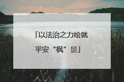 以法治之力绘就平安“枫”景
