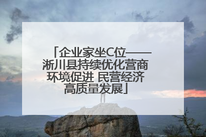 企业家坐C位——淅川县持续优化营商环境促进 民营经济高质量发展