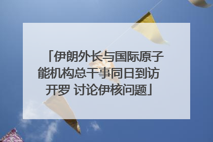 伊朗外长与国际原子能机构总干事同日到访开罗 讨论伊核问题