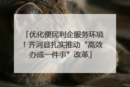 优化便民利企服务环境！齐河县扎实推动“高效办成一件事”改革