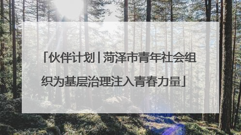 伙伴计划│菏泽市青年社会组织为基层治理注入青春力量