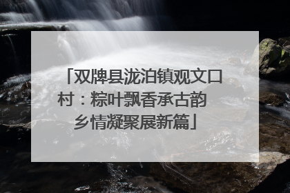 双牌县泷泊镇观文口村：粽叶飘香承古韵 乡情凝聚展新篇