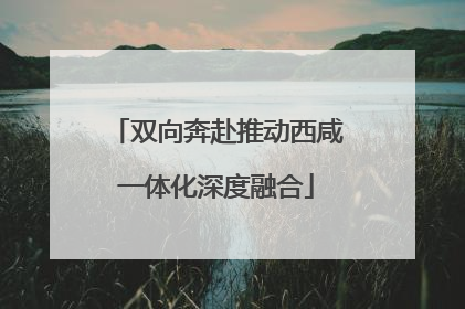 双向奔赴推动西咸一体化深度融合