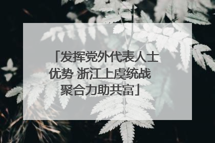 发挥党外代表人士优势 浙江上虞统战聚合力助共富