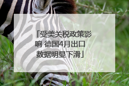 受美关税政策影响 德国4月出口数据明显下滑