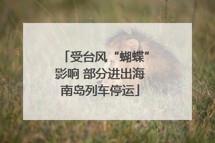 受台风“蝴蝶”影响 部分进出海南岛列车停运