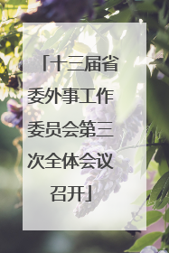 十三届省委外事工作委员会第三次全体会议召开