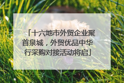 十六地市外贸企业聚首泉城，外贸优品中华行采购对接活动将启