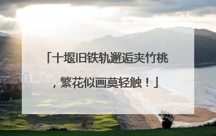 十堰旧铁轨邂逅夹竹桃，繁花似画莫轻触！