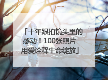 十年跟拍镜头里的感动！100张照片用爱诠释生命绽放