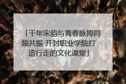 千年宋韵与青春脉搏同频共振 开封职业学院打造行走的文化课堂