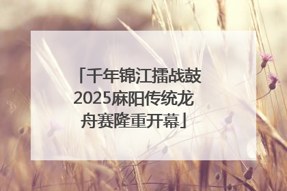 千年锦江擂战鼓 2025麻阳传统龙舟赛隆重开幕