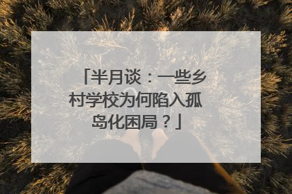半月谈：一些乡村学校为何陷入孤岛化困局？