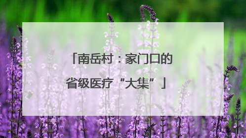 南岳村：家门口的省级医疗“大集”
